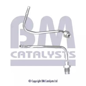 BM CATALYSTS pp11033a -  